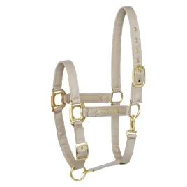 kantar-dla-konia-equestrian-queen-milan-25aw-z-brokatem-bezowy-cob