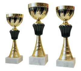komplet-zestaw-pucharow-nagroda-turniej-konkurs-zawody-nadruk-28-34-cm