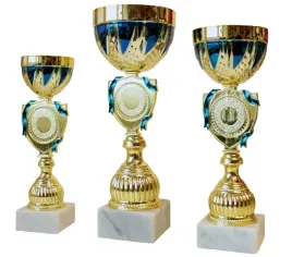 komplet-zestaw-pucharow-nagroda-turniej-konkurs-zawody-nadruk-25-31-cm