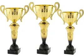 komplet-zestaw-pucharow-nagroda-turniej-konkurs-zawody-nadruk-28-32-cm