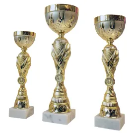 komplet-zestaw-pucharow-nagroda-turniej-konkurs-zawody-nadruk-29-38-cm