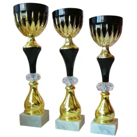 komplet-zestaw-pucharow-nagroda-turniej-konkurs-zawody-nadruk-33-38-cm