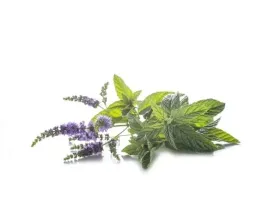 mieta-pieprzowa-equiherbs-500g