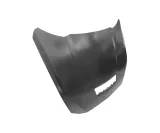 maska-do-ford-mustang-2024-pr3z16612b