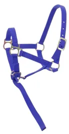 kantar-zrebiecy-z-uwiazem-ekkia-headcollar-lead-rope-niebieski-foal