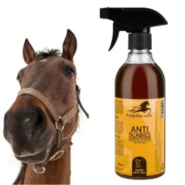 odzywka-dla-koni-hippika-anty-swierzb-z-bio-siarka-przeciwbakteryjna-500ml