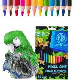 kredki-olowkowe-okragle-12-kolorow-jumbo-astra-pixel-dla-chlopcow