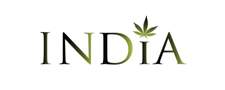 olej-z-cbd-5percent-10ml-india-rodzaj-olejek-konopny-cbd
