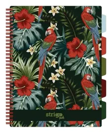 kolonotes-kolozeszyt-w-kratke-project-book-a4-papuga-100k-kratka-strigo