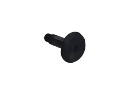 reco-sworzen-zacisku-hamulcowego-10mm-trw-lucas-girling