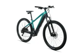 rower-e-bike-gorski-mtb-29-kands-holk-cues-hydr-r19-czarno-zielony-my2026