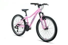 rower-mlodziezowy-mtb-24-kands-dragon-aluminiowy-rozowy-mat-2026