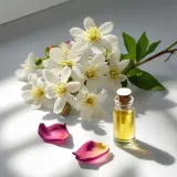 dresdner-essenz-balsam-do-ciala-unisex-retinol-squalan-ujedrnie-wygladzenie-wielkosc-produkt-pelnowymiarowy