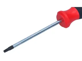 rooks-wkretak-torx-t20x100-mm