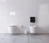 przycisk-splukujacy-do-wc-globe-bialy-rodzaj-do-wc