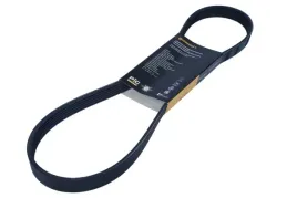 contitech-pasek-wielorowkowy-6pk986
