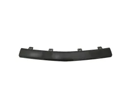 listwa-zderzaka-do-ford-mustang-2024-2674337-srodkowa-czarny