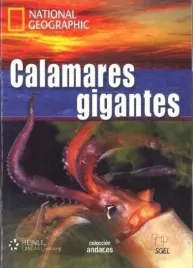calamares-gigantes-c1-praca-zbiorowa