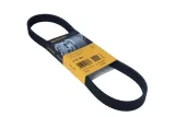 contitech-pasek-wielorowkowy-6pk800