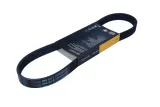 contitech-pasek-wielorowkowy-6pk800