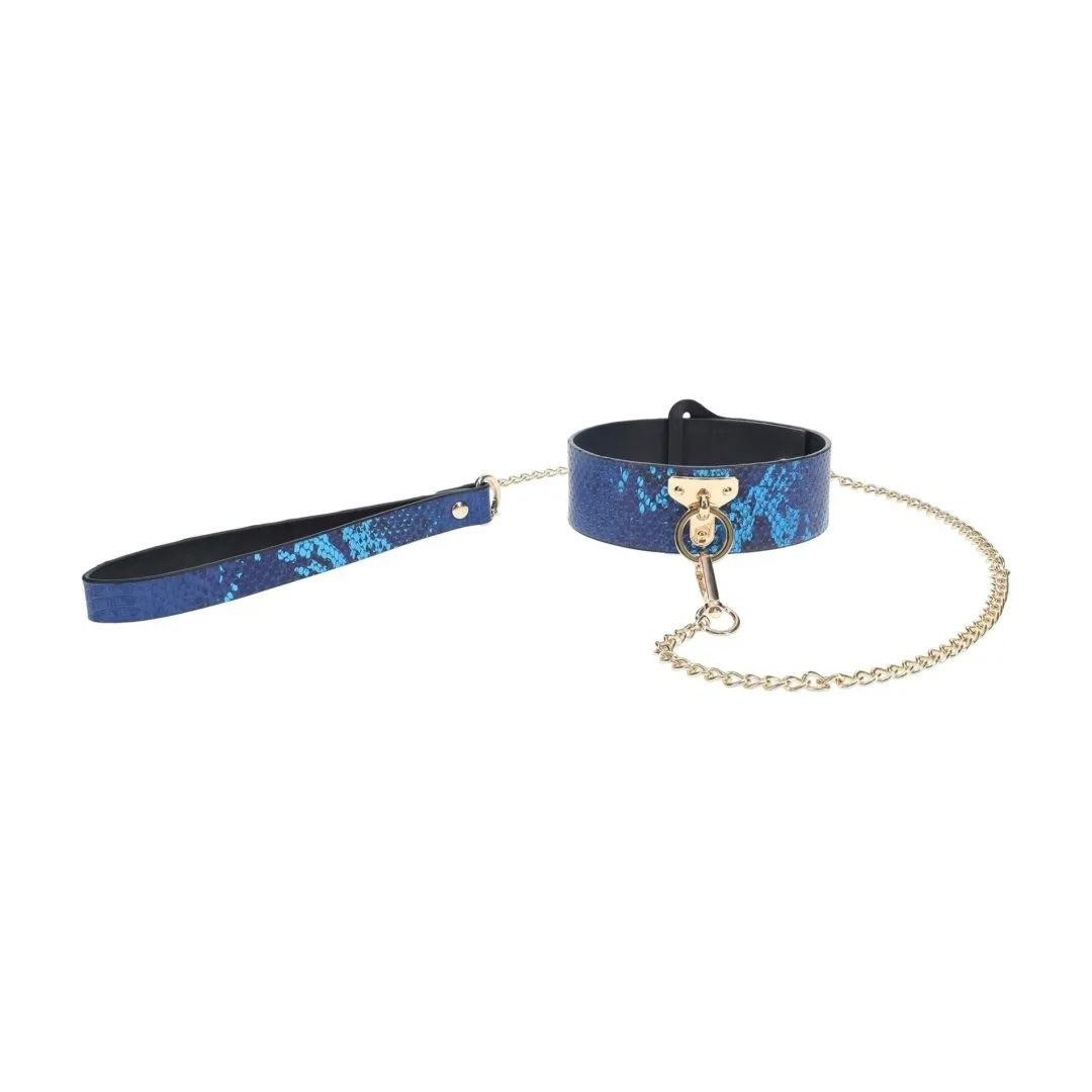 florence-collection-collar-with-leash-blue