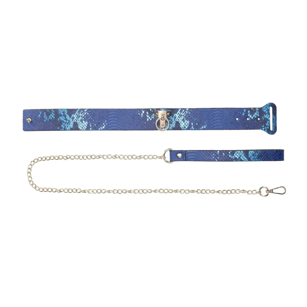 florence-collection-collar-with-leash-blue