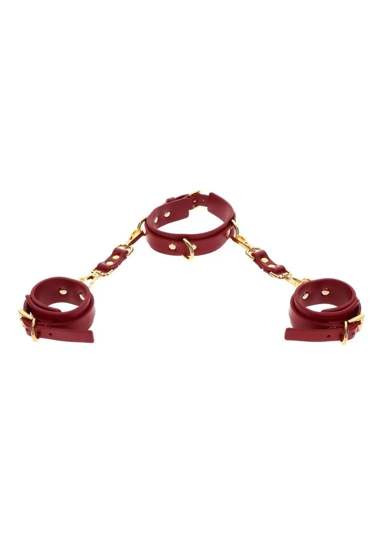 d-ring-collar-and-wrist-cuffs-red