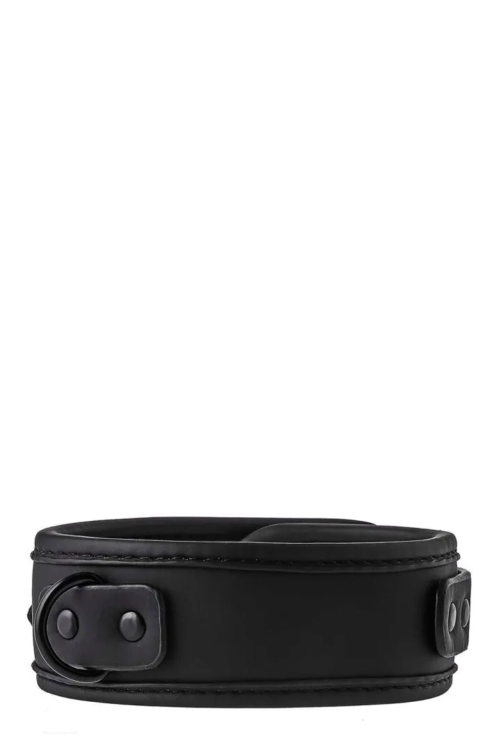 blaze-collar-and-leash-black