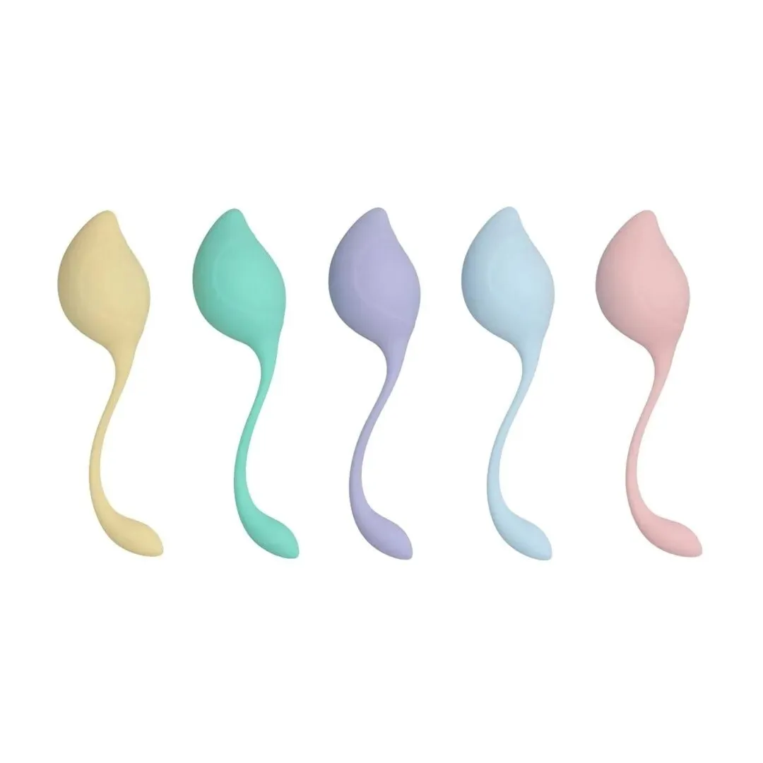 pelvic-stem-kegel-kit-multicolor