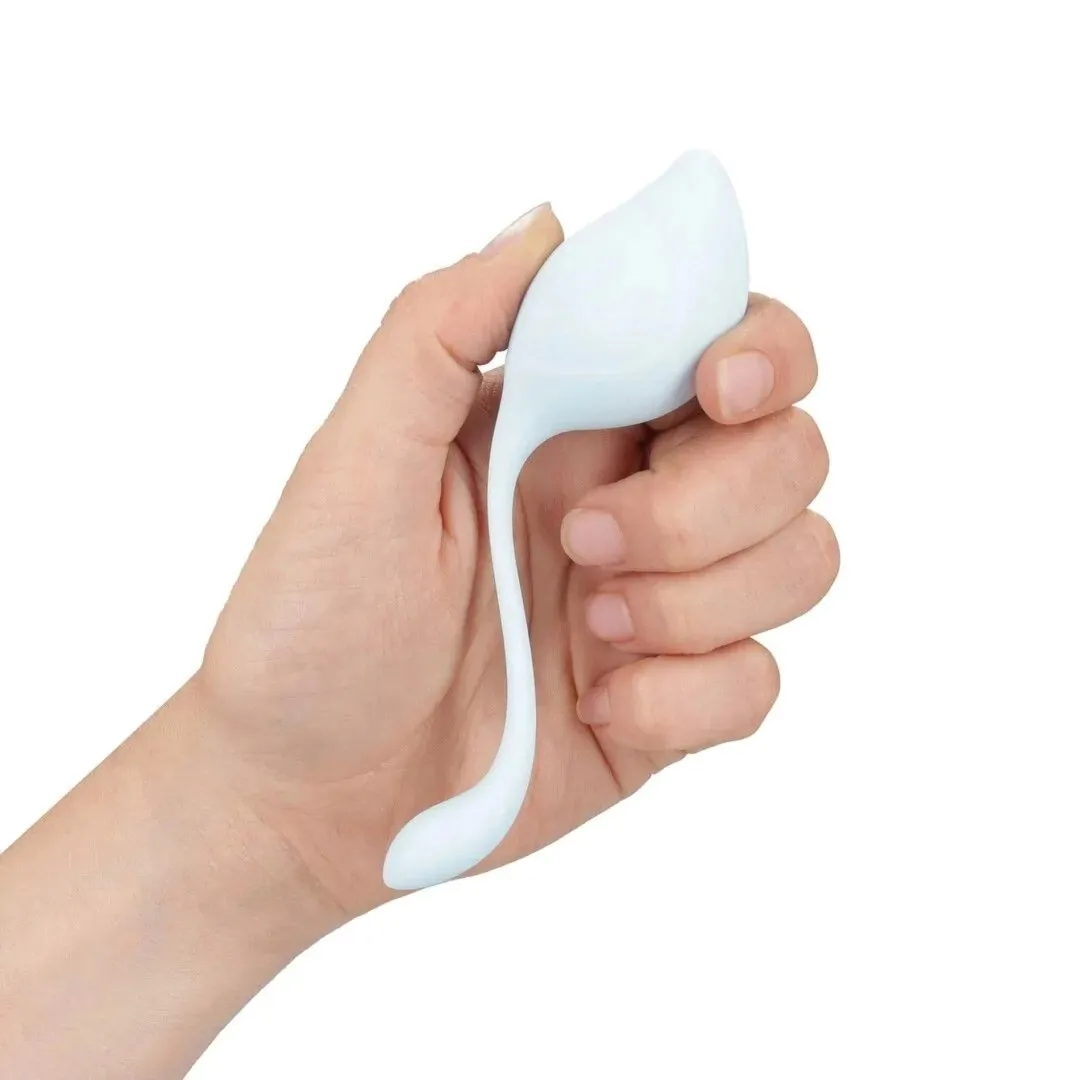 pelvic-stem-kegel-kit-multicolor-stan-nowy