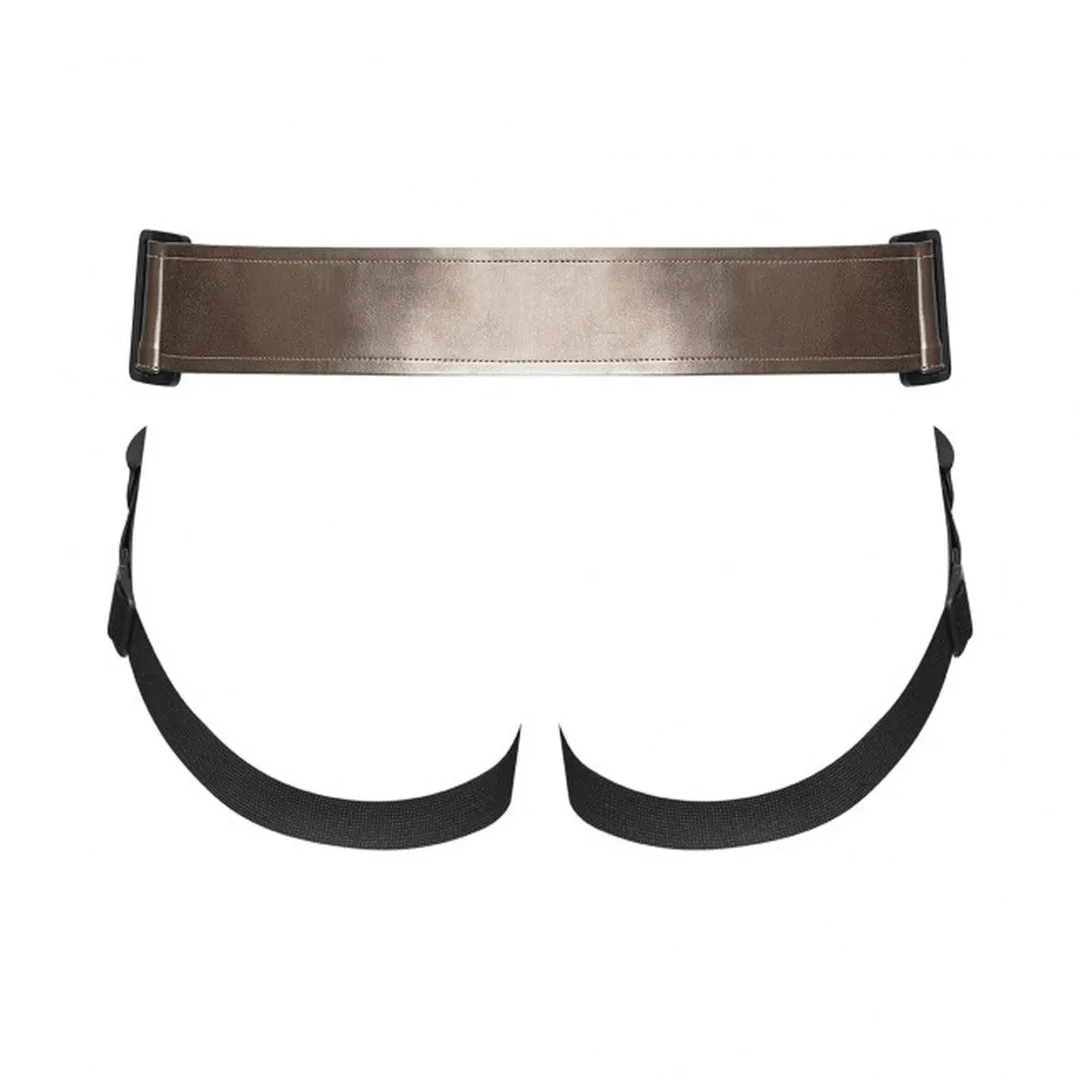 leatherette-harness-curious