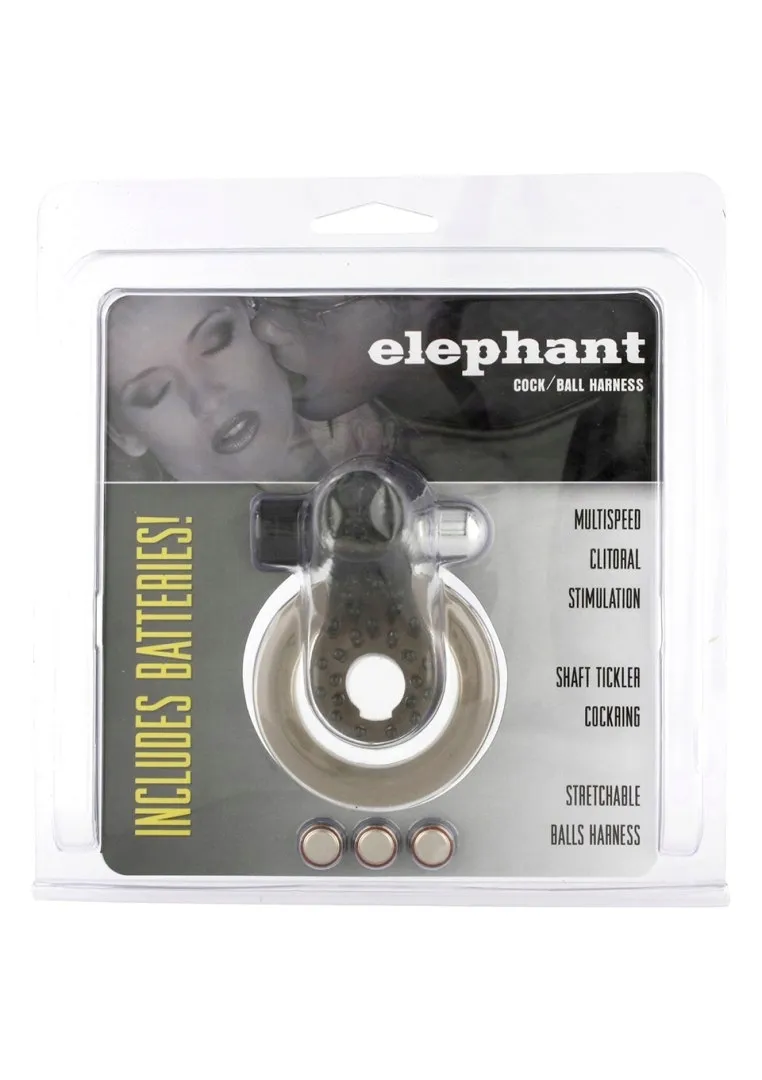 cock-and-ball-ring-elephant-transparent