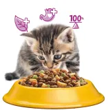 whiskas-sucha-kurczak-14kg-marka-bez-marki