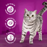 whiskas-sucha-kurczak-14kg-funkcje-inne