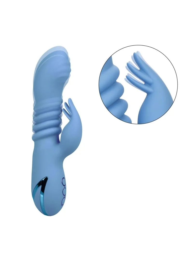 santa-cruz-coaster-blue