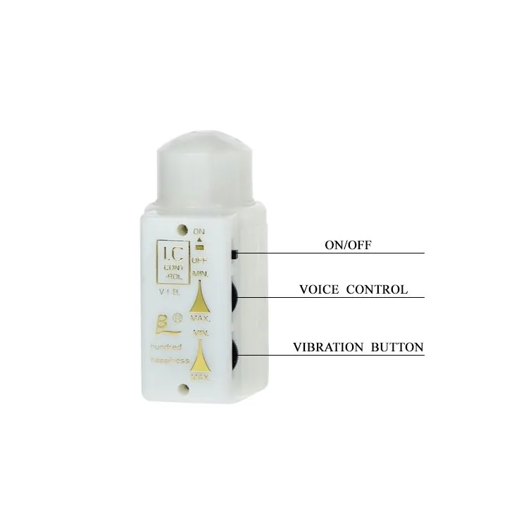 baile-mr-big-rotation-and-vibration