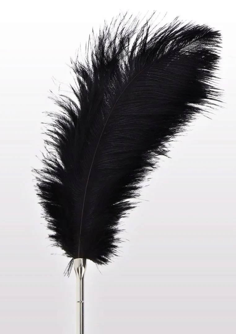 feather-tickler-black