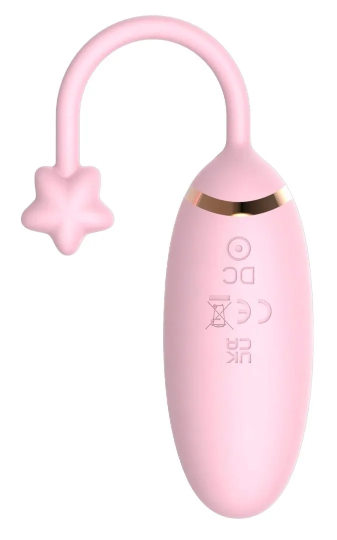 lovesecret-premium-love-egg-app-function-stan-nowy