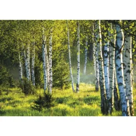 kalendarz-trojdzielny-h-gory-t-106t-01-michalczyk-i-prokop-michalczyk-i-pr