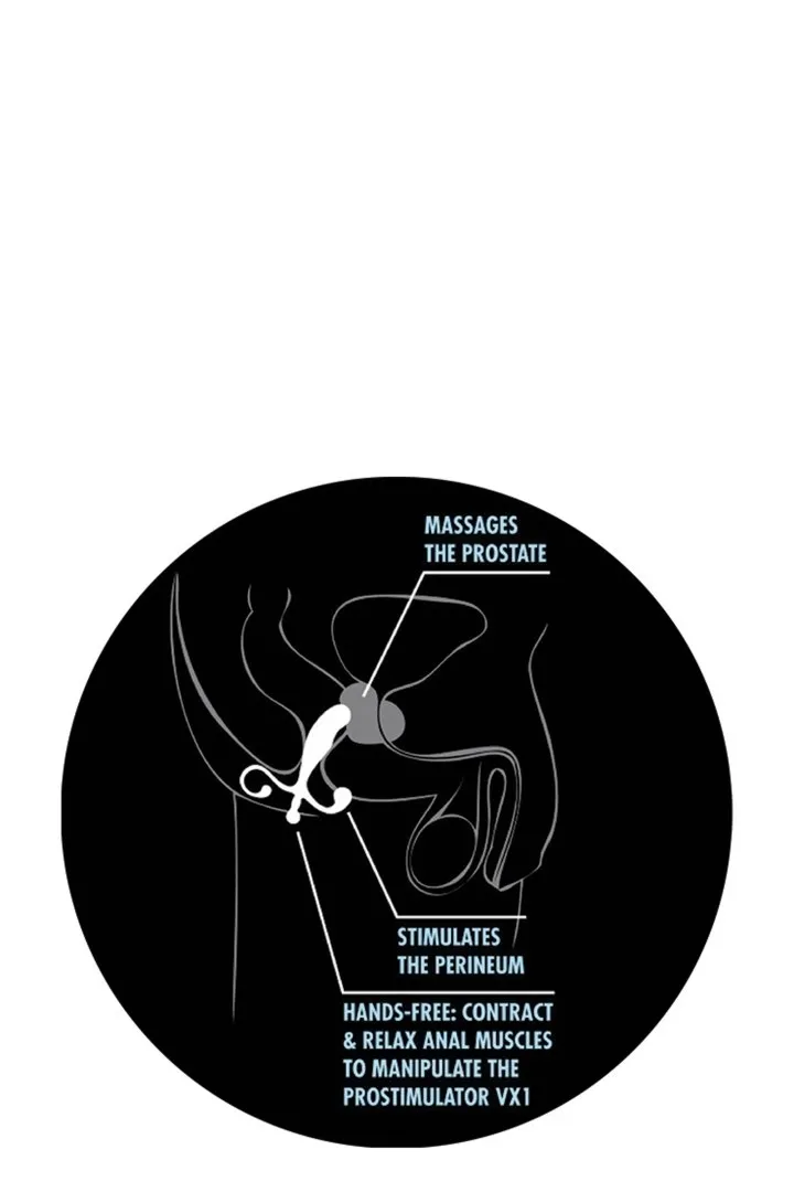 anal-adventures-prostate-stimulator
