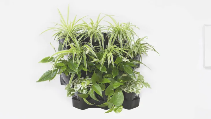 aquael-modul-scienny-versa-garden-plus-zestaw-stan-nowy-marka-aquael