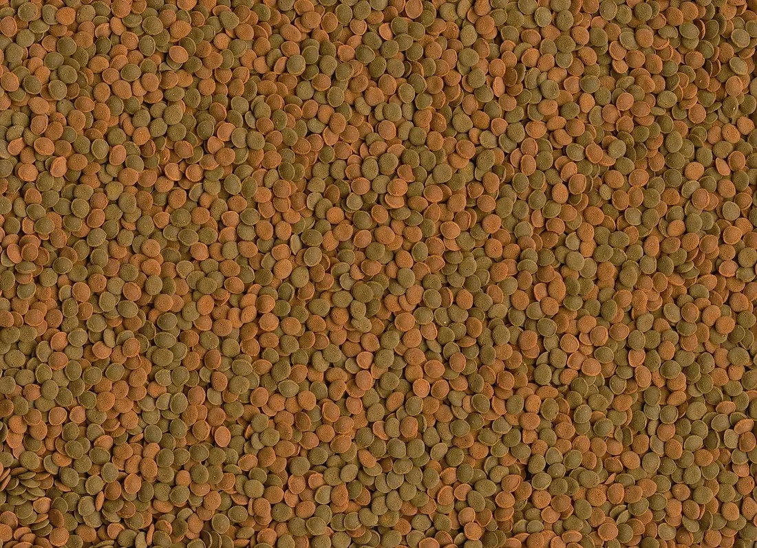 tetra-wafer-mini-mix-100ml-tetra