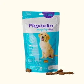 vetoquinol-flexadin-young-dog-maxi-kaski-dla-psa-60-sztuk-vetoquinol