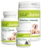 dolfos-dolvit-junior-90-tabletek-dolfos-marka-dolfos