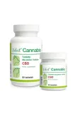 dolfos-cannabis-90tab-dolfos