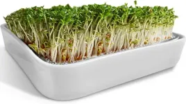 kielkownica-do-rzezuchy-miska-do-kielkowania-ceramiczna-sitko-ze-stali