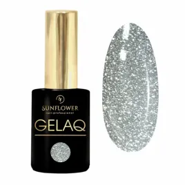 gelaq-flash-silver-dust-469-9-g