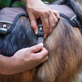 ferplast-szelki-dla-duzych-psow-ergotrekking-small-regulowane-brazowe