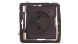 as-gniazdo-bryzgoszczelne-z-u-ip44-klapka-przezroczysta-satyna-light-gph-1g