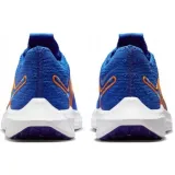 pegasus-turbo-nature-marka-nike-kod-producenta-fd0717400